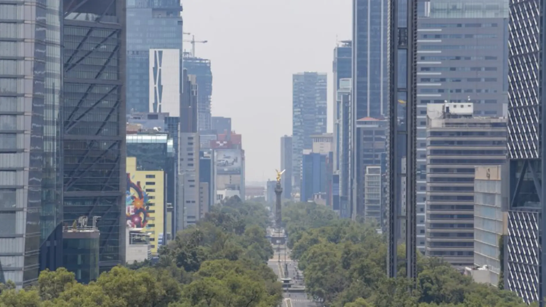 Estas son las colonias con mas plusvalía en la CDMX